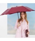 Blunt x Frank Green | Plum + Petal Duo | Limited Edition